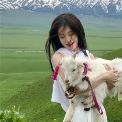 黑色孤儿：回响