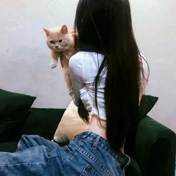 圣诞有情人